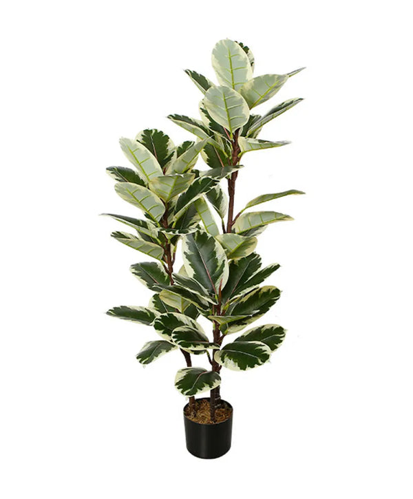Artificial Ficus Tineke Rubber Tree 120cm