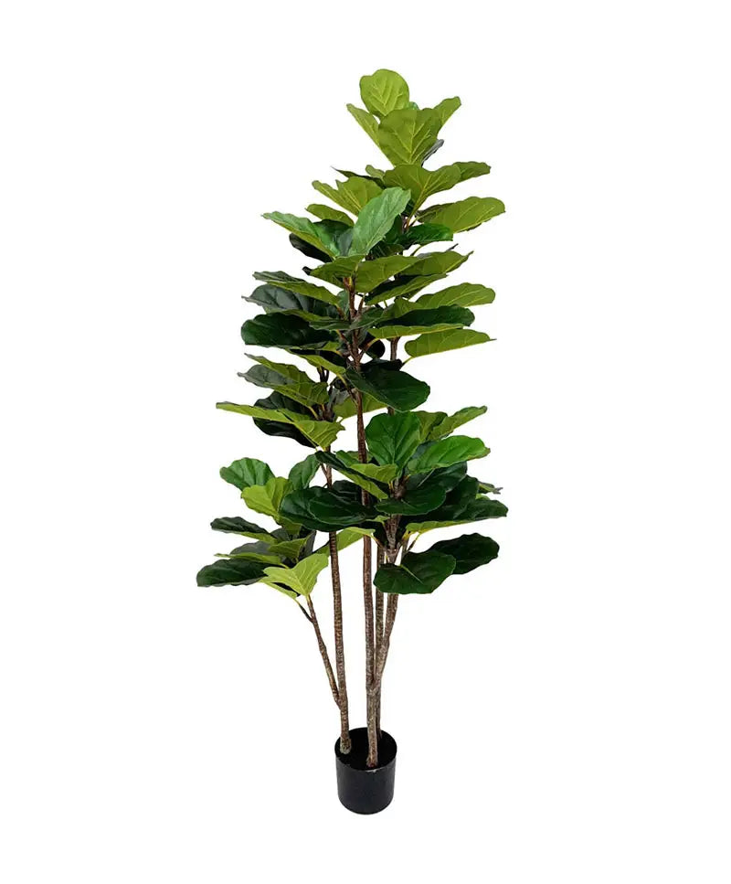 Artificial Fiddle Leaf Fig Tree 180cm – Potsngrow