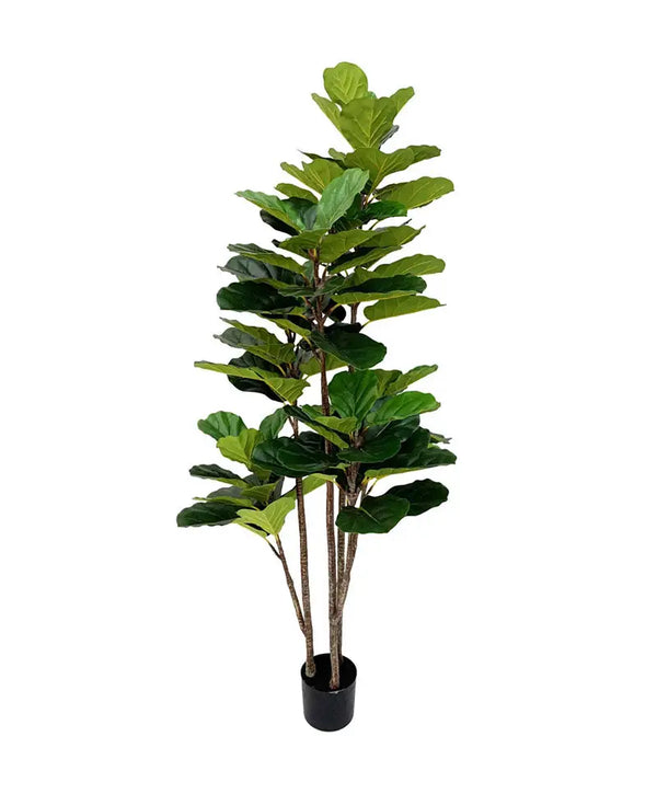 Artificial Fiddle Leaf Fig Tree 180cm