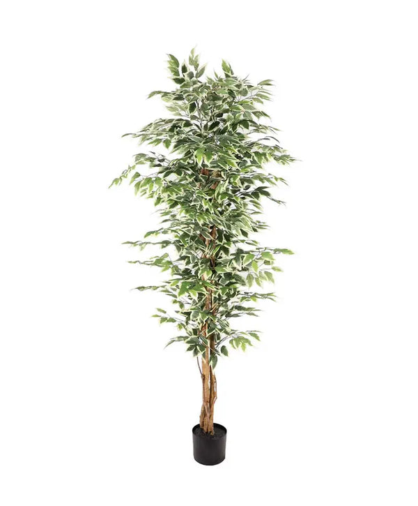 Artificial Potted Ficus Tree  160cm