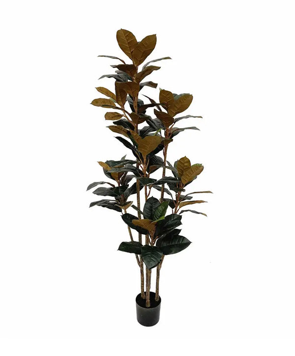 Artificial Potted Rubber Tree – 180cm