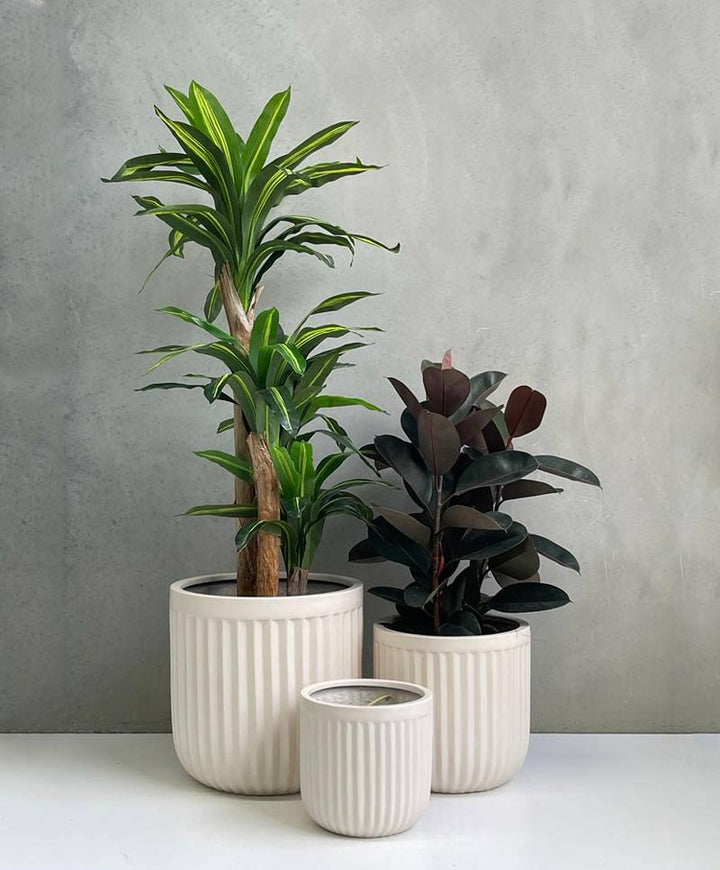 Designer Ribbed Pots Premium Lightweight Fiberglass Ribbed Pot - Indoor & Outdoor Spaces ...