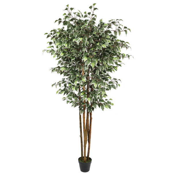 Artificial Potted Ficus Tree 180cm